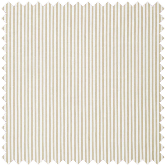 Neat Stripe Soyella in Camel